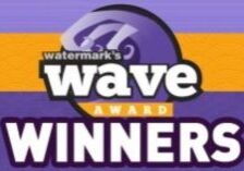WAVE2015WinnersAbstr-300x146